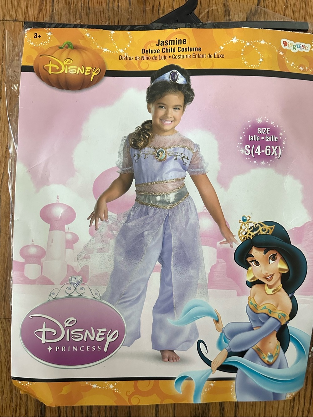Disney Jasmine Purple and Gold Deluxe Child Costume